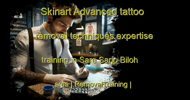 Skinart Advanced tattoo removal techniques expertise training in Sare Sarjo Biloh area | RemovalTraining | RemovalClasses | SkinartTraining-Gambia